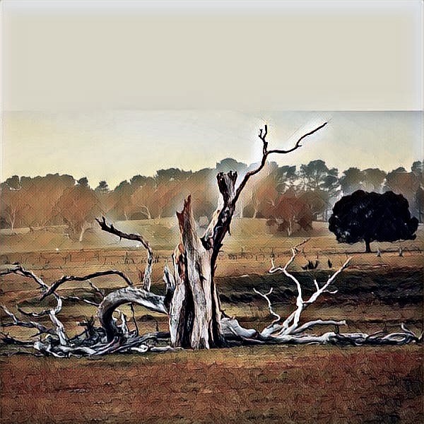 27.02.2021 18_44_06a