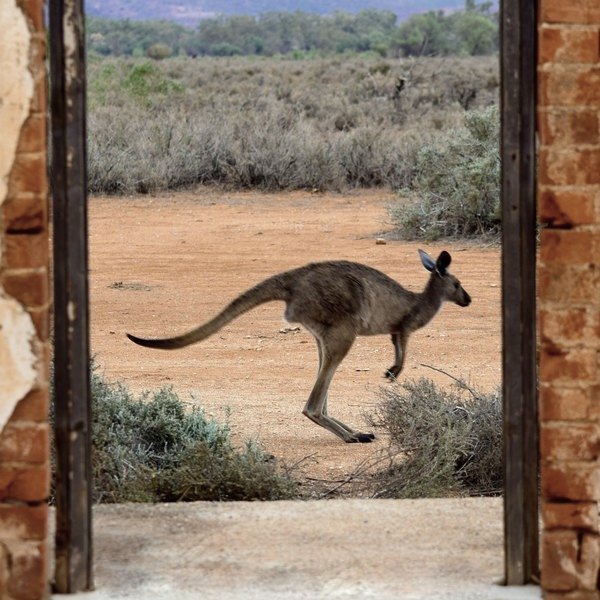 meg-jerrard-a1QJjiR-3_U-unsplash